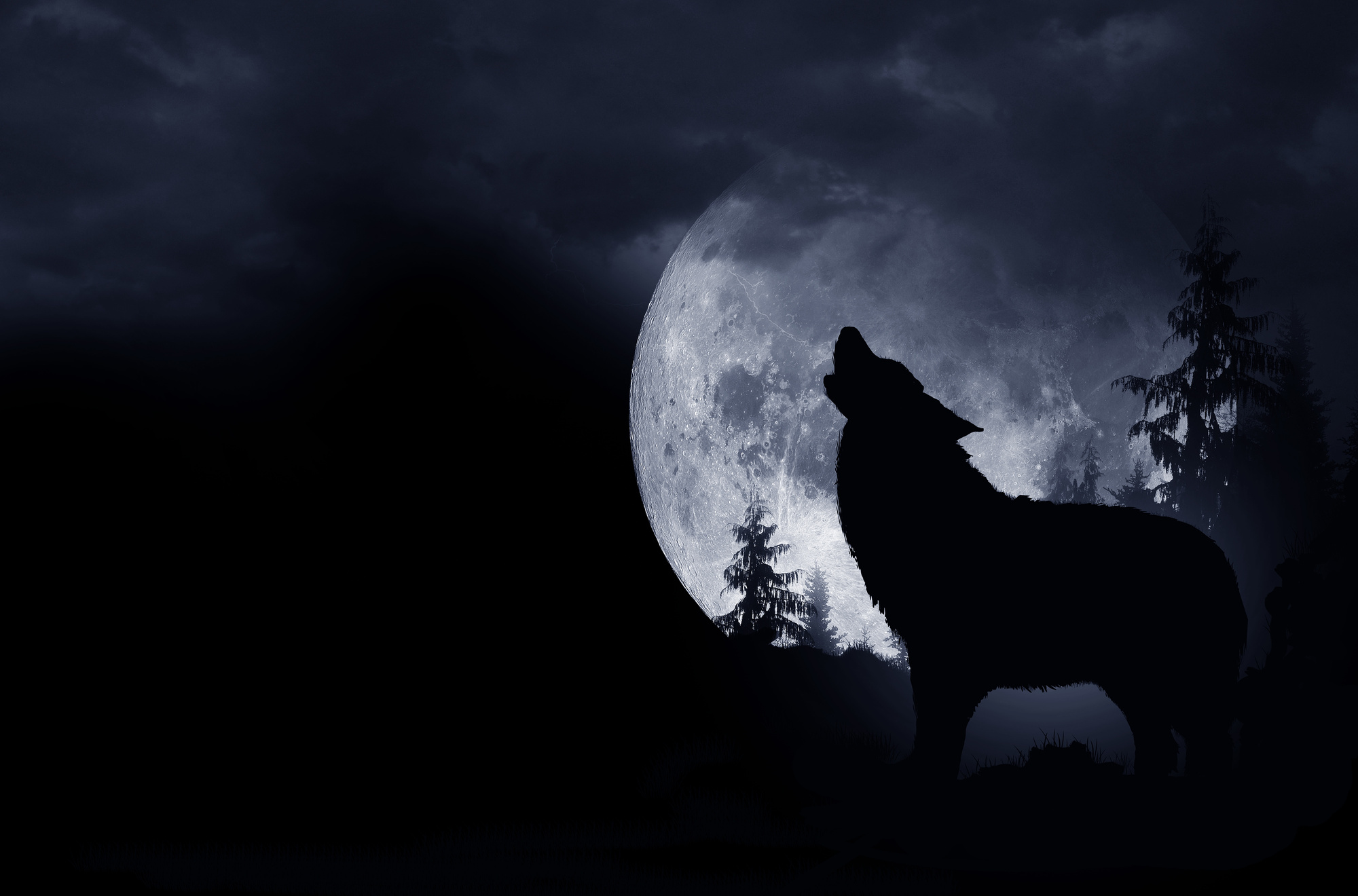 Howling Wolf Background